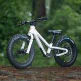 Kids Ride Shotgun Dirt Hero Off-road Balance Bike
